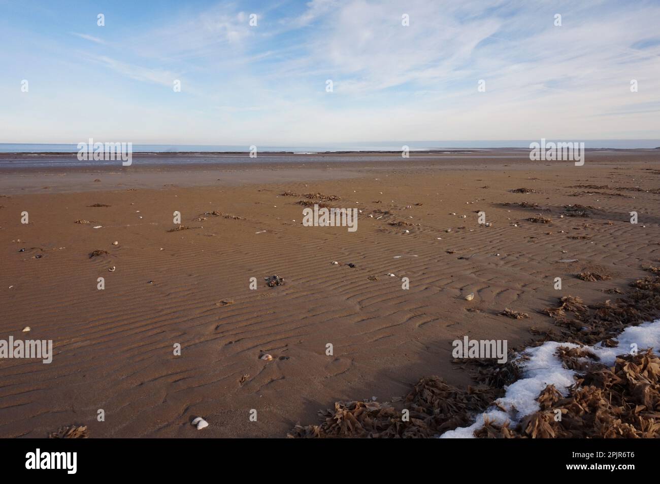 Habitat paludoso a Titchwell Marsh, Norfolk Coast, Inghilterra Foto Stock