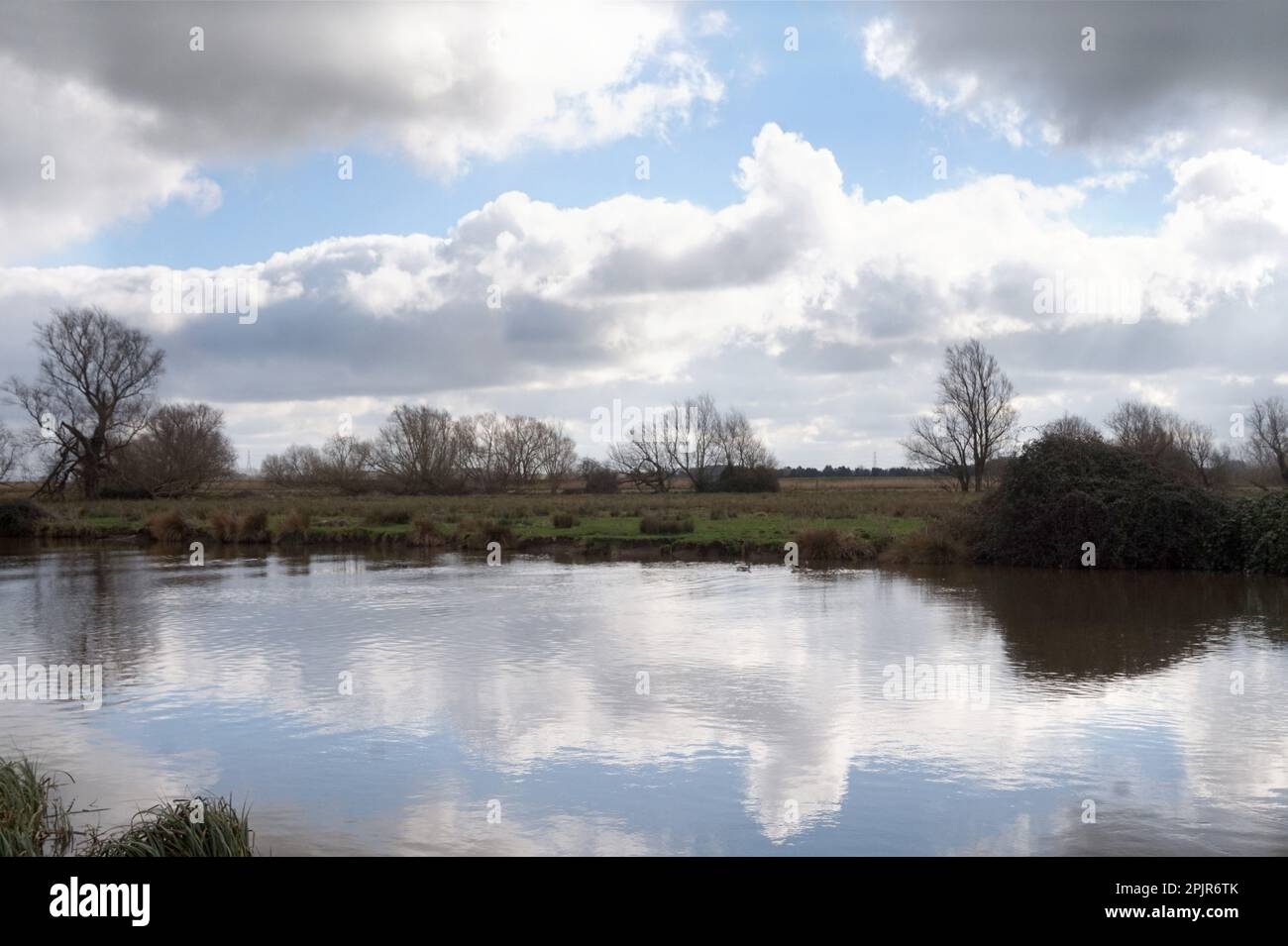Ely Country Park sul fiume Great Ouse a Ely, Cambridgeshire Foto Stock
