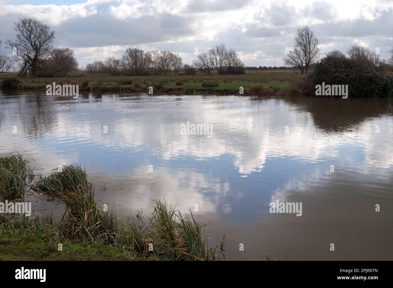 Ely Country Park sul fiume Great Ouse a Ely, Cambridgeshire Foto Stock