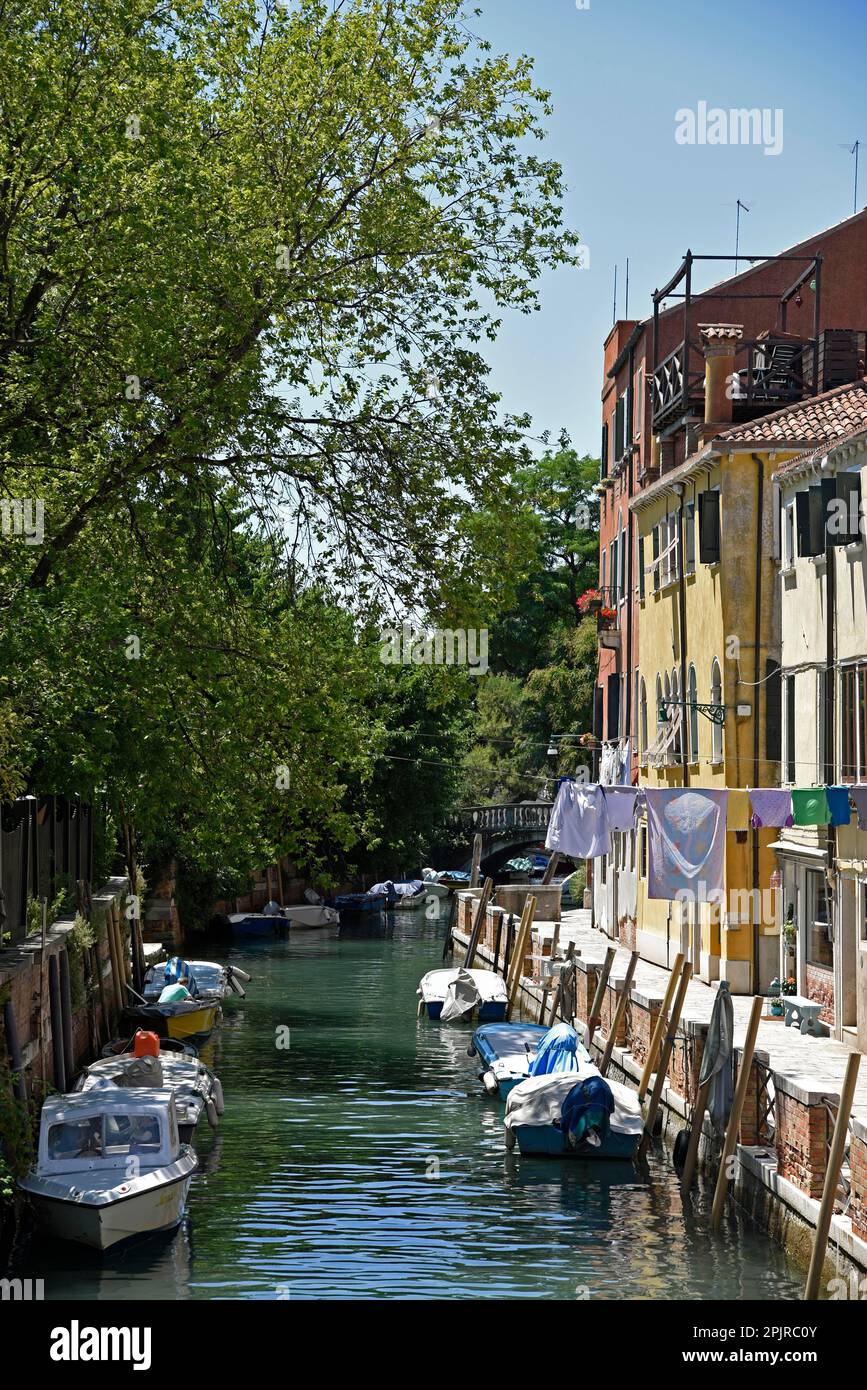 Barche, Servizio lavanderia, canale, Castello, quartiere, Venezia, Venezia, Veneto, Italia Foto Stock