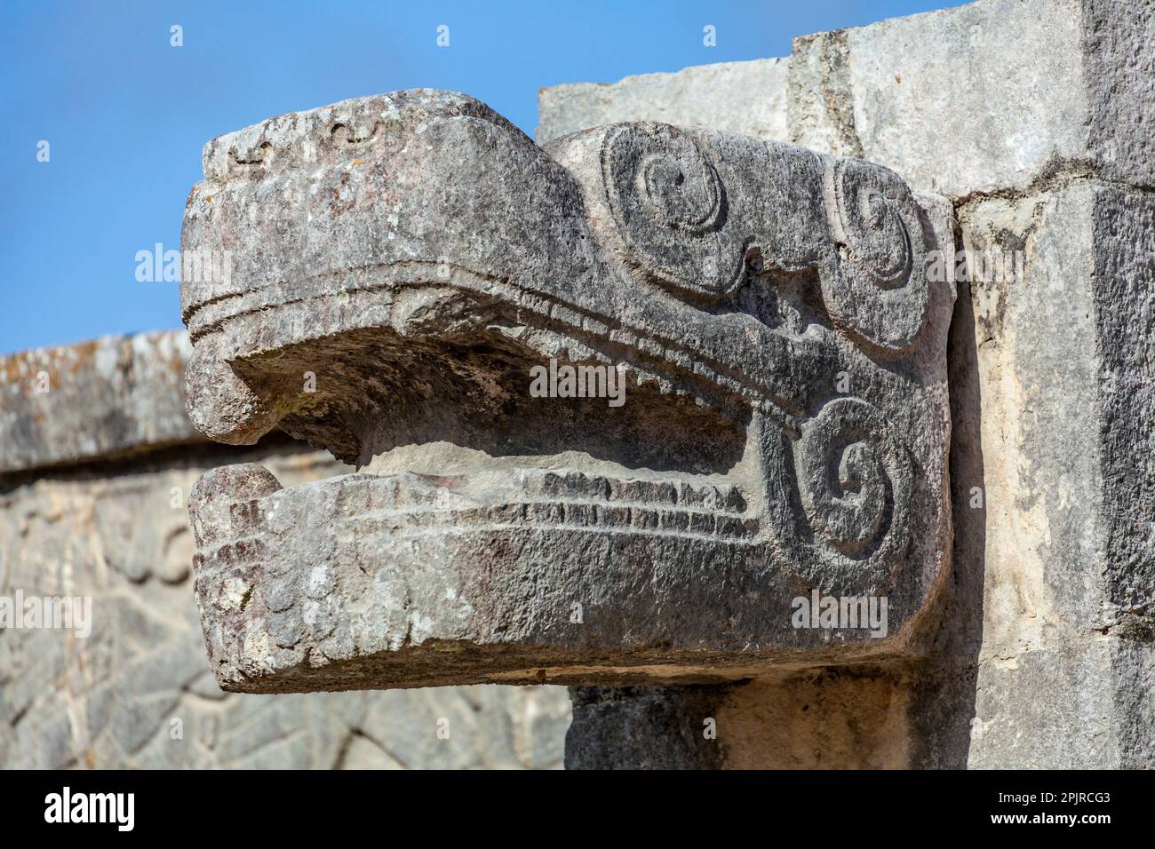 Testa di pietra scolpita Maya a Chichén Itzá, Yucatán, Messico Foto Stock