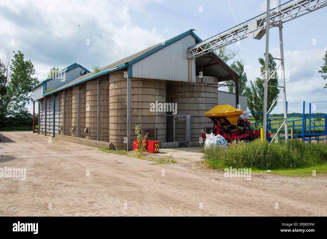 Allevamento di suini, contenitori per lo stoccaggio di mangimi in allevamento di suini, Driffield, East Yorkshire, Inghilterra, Regno Unito Foto Stock