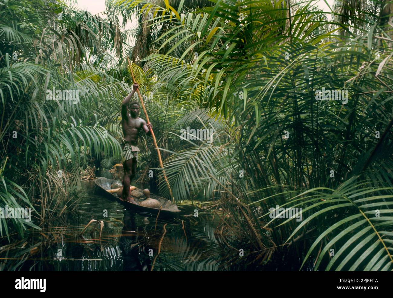 Africa, gruppo etnico Libinza, isole del fiume Ngiri, Repubblica Democratica del Congo. Un uomo che lancia una canoa con palo nella foresta paludosa di raphia. Foto Stock