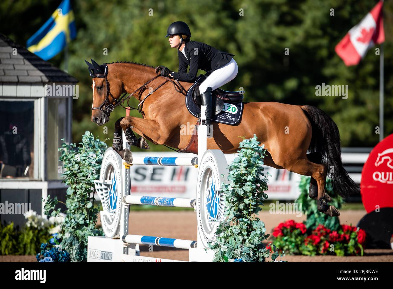 Chandler Meadows of the United States compete in un evento Major League Show Jumping nel 2021 al Caledon Equestrian Park. Foto Stock