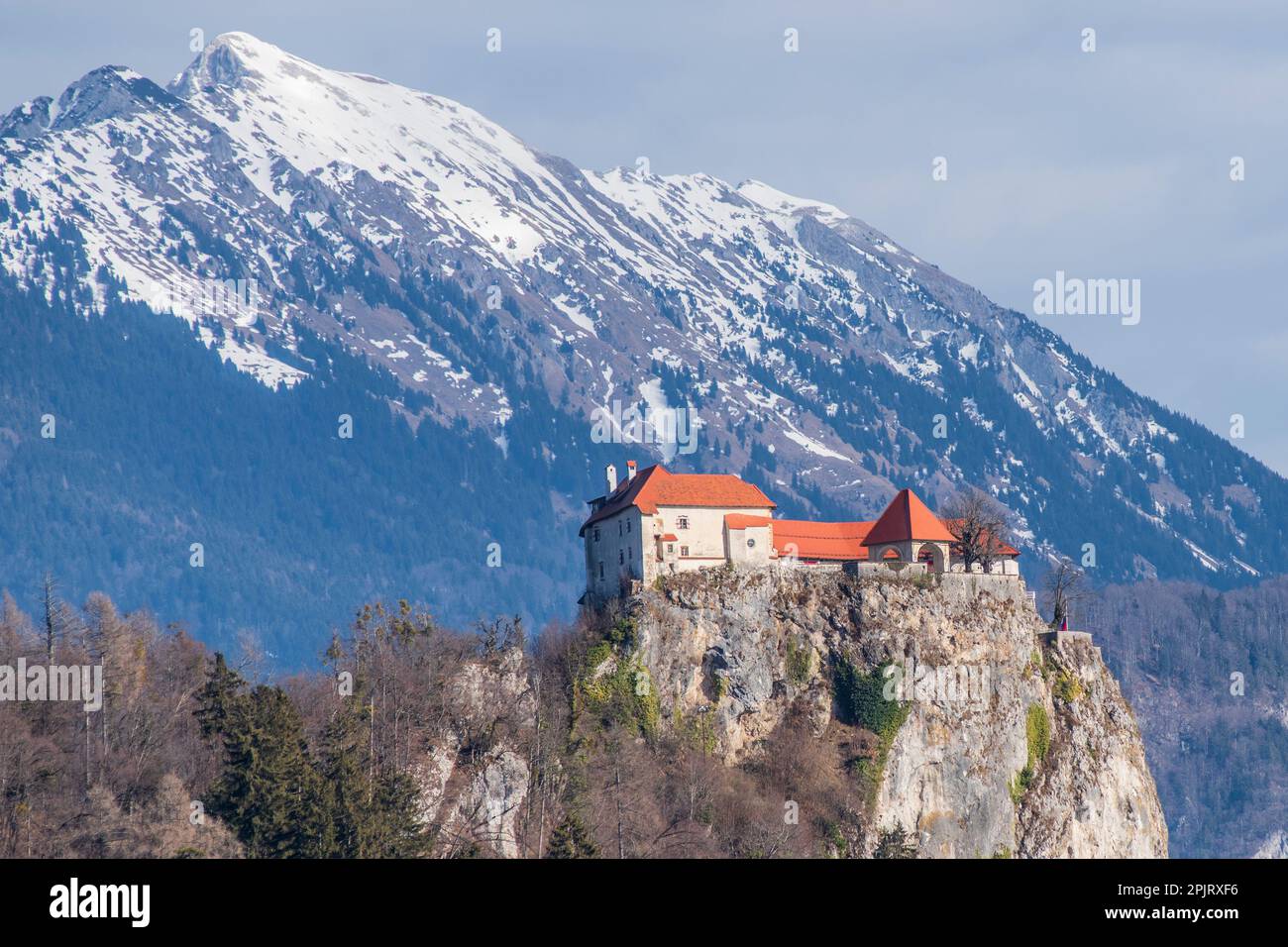 Castello di Bled, con montagne innevate sullo sfondo. Slovenia. Foto Stock