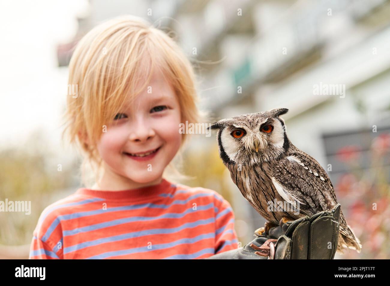 Coblenza, Germania. 29th Mar, 2023. Claas Pinkatschek (7) tiene il gufo di fienile Emma su un guanto di falconeria mentre visita suo padre, che soffre di un tumore al cervello, a Hospiz St. Martin a Coblenza. I gufi terapeutici offrono momenti molto speciali durante una visita ad un ospizio di Coblenza. Con gli uccelli zoppicanti, i falconieri del cuore stanno ora viaggiando in tutta la Germania. (A dpa-KORR 'Balm for the soul' - quando gli civici visitano un ospizio) Credit: Sascha Ditscher/dpa/Alamy Live News Foto Stock