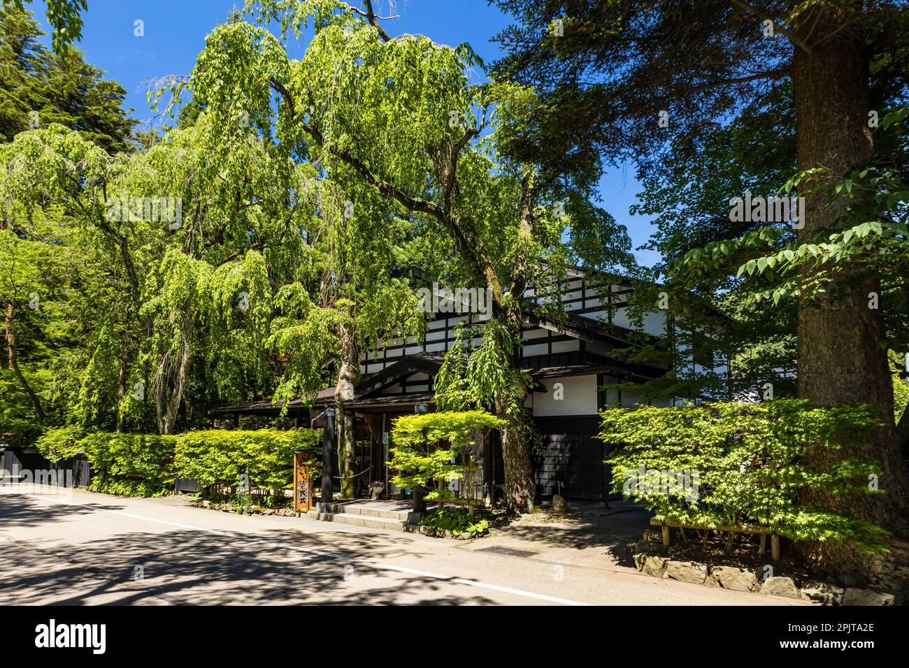 Samurai residenza strada, con foglie verdi estate, storico Kakudate (kakunodate) città, Senboku città, Akita, Tohoku, Giappone, Asia orientale, Asia Foto Stock