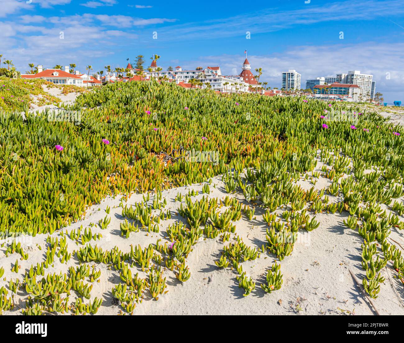Le dune di sabbia di Coronado Beach con l'Historic Victorian era Resort Hotel in lontananza, Coronado Island, California, Stati Uniti Foto Stock