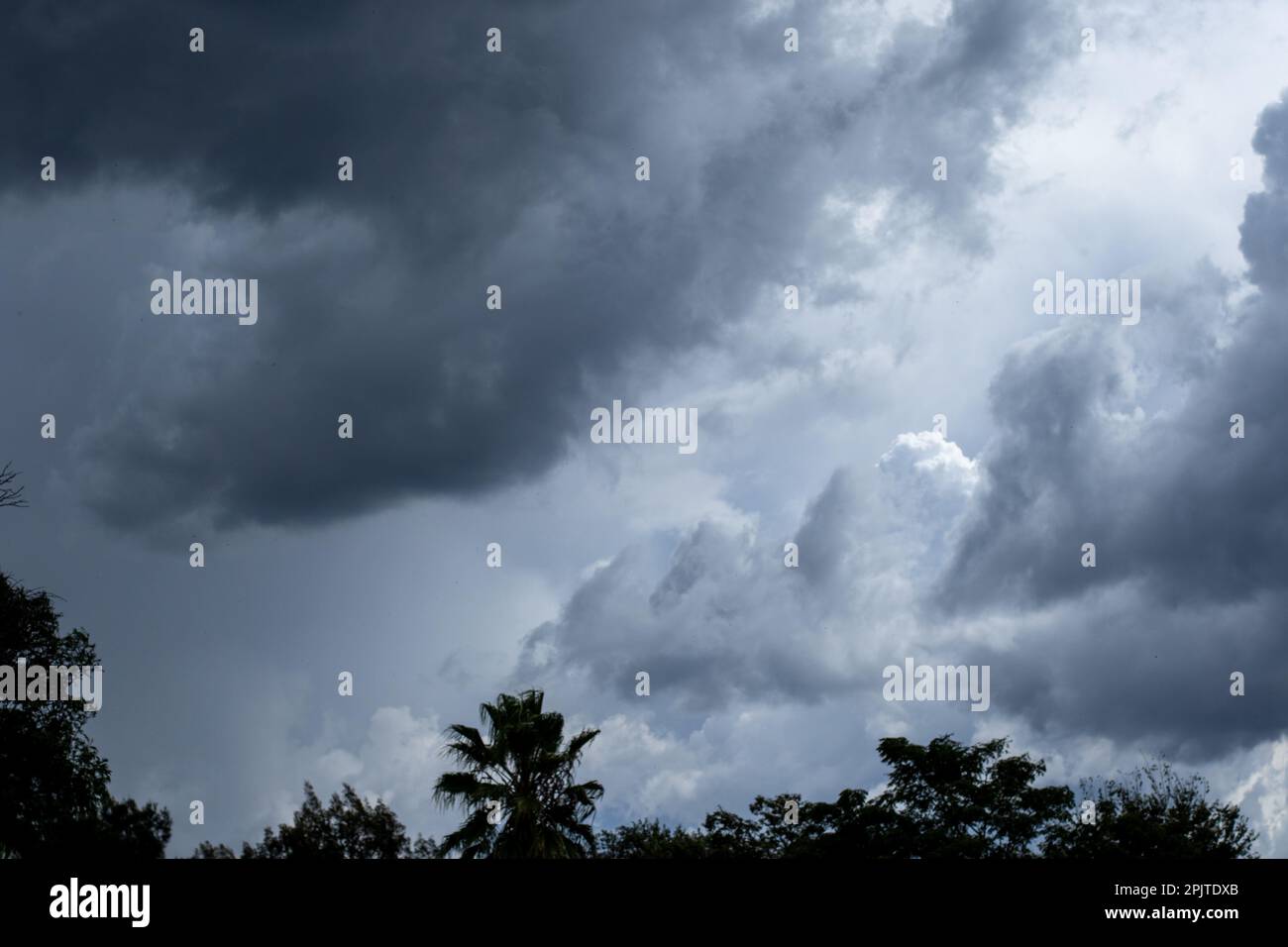 Estate 2023 tempesta di nuvole accumularsi su Johannesburg Foto Stock
