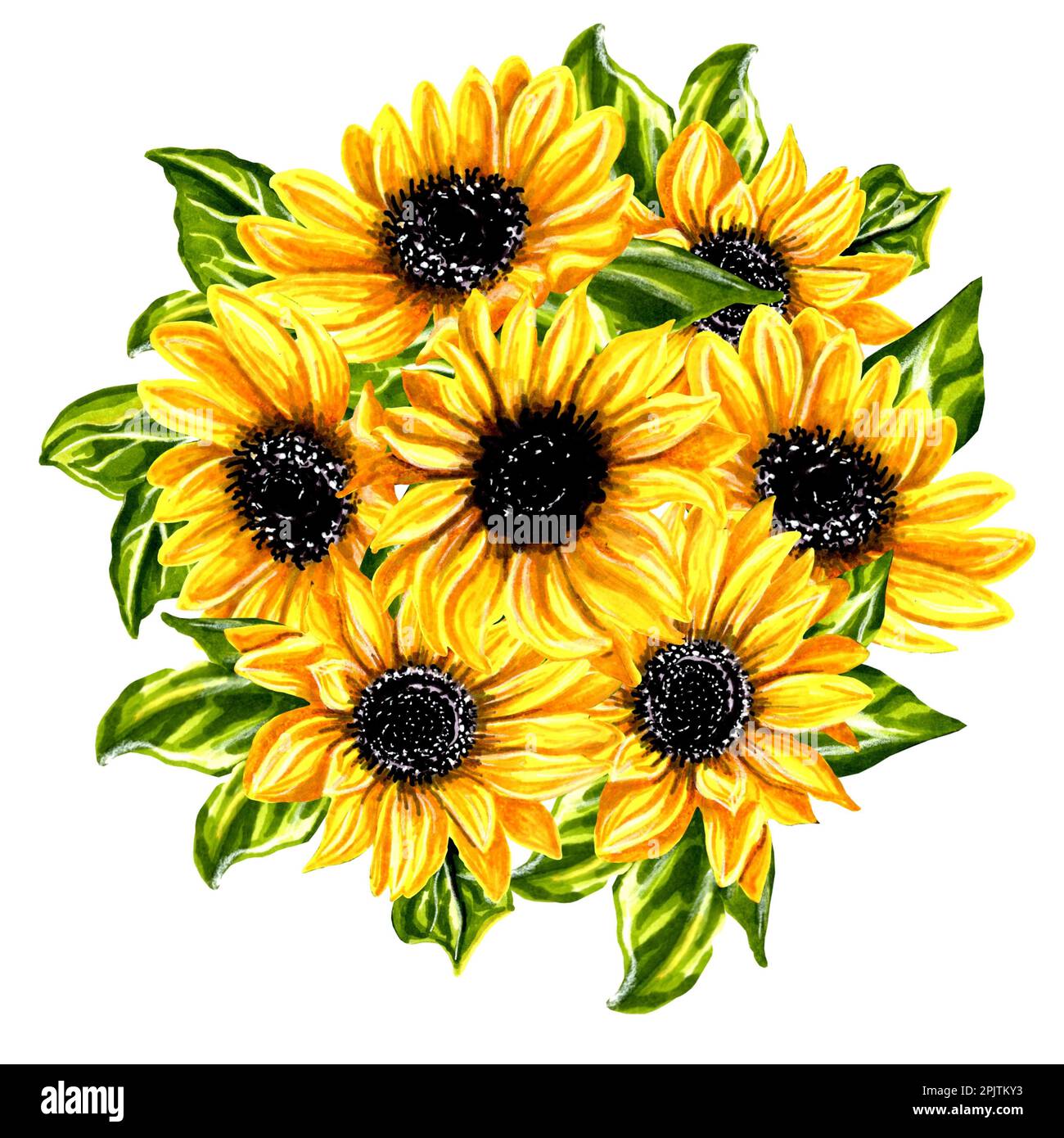 Bouquet di fiori di girasole con foglie. Immagine floreale in JPEG. Foto Stock