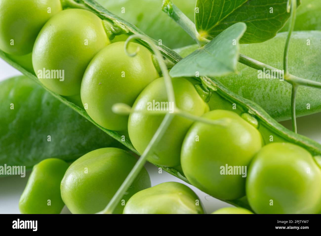 File di piselli verdi perfetti in primo piano. Foto Stock