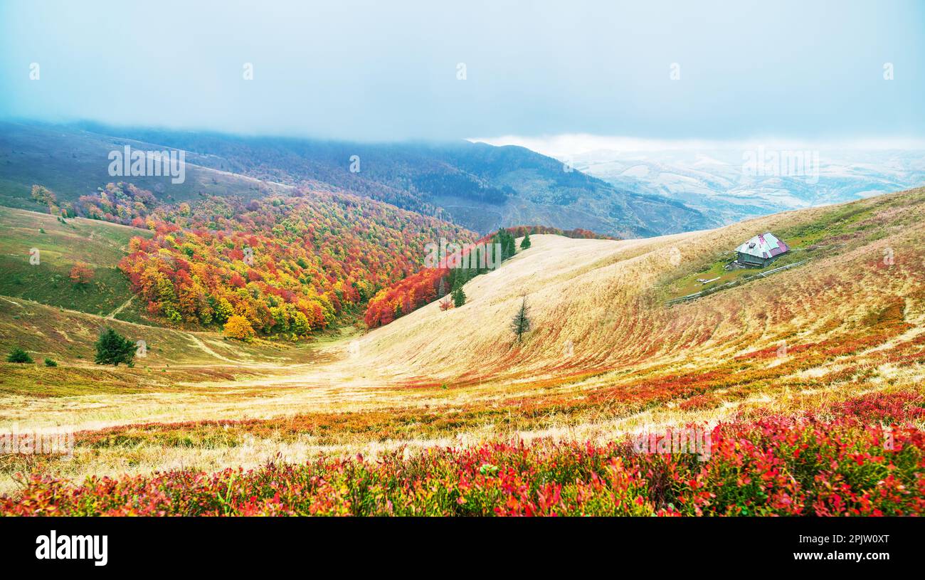 Splendido paesaggio autunnale colorato delle montagne dei Carpazi. Foto Stock