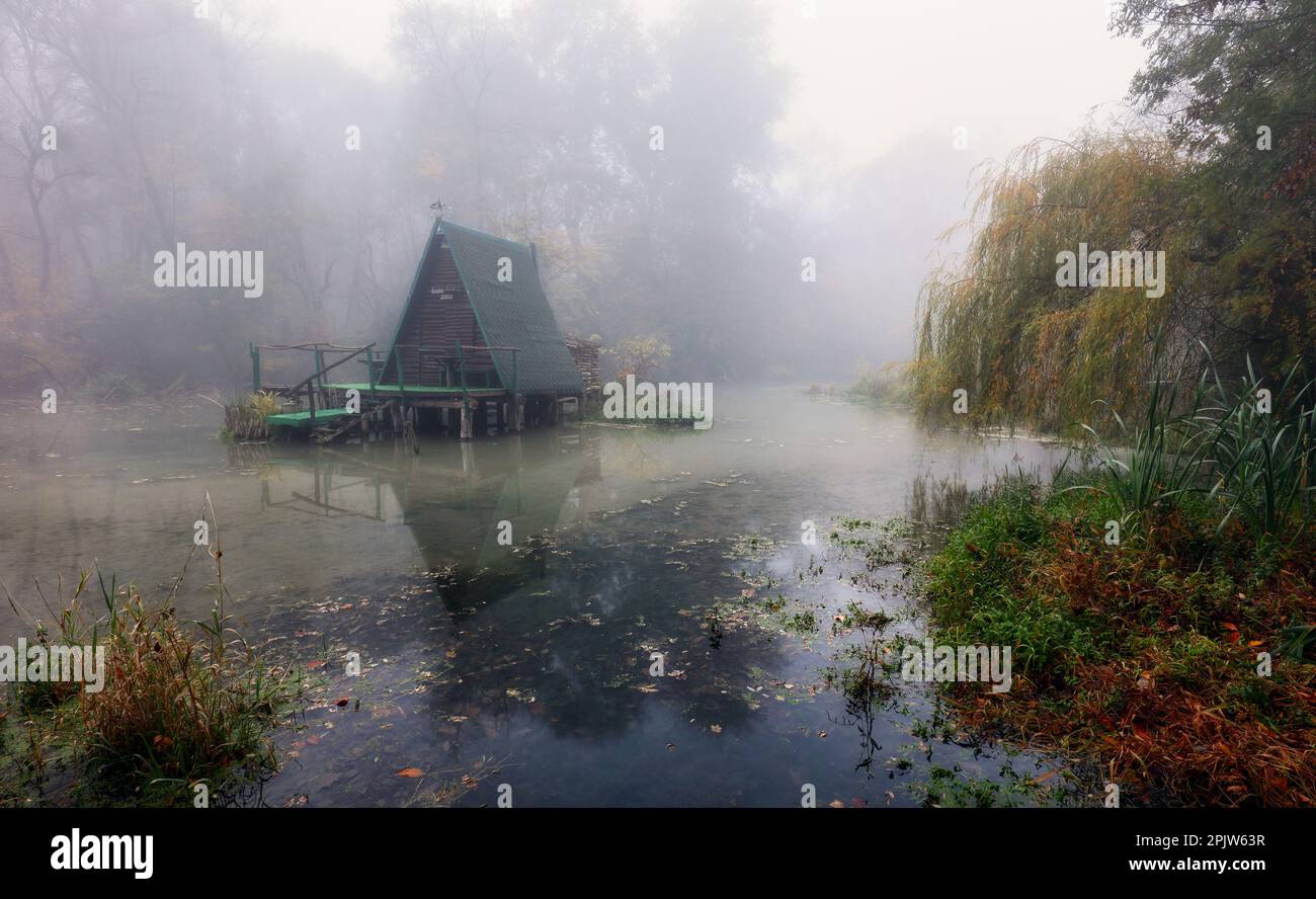 Mistica palude con alberi con un riflesso in acqua in una mattina nebbia. Foto Stock