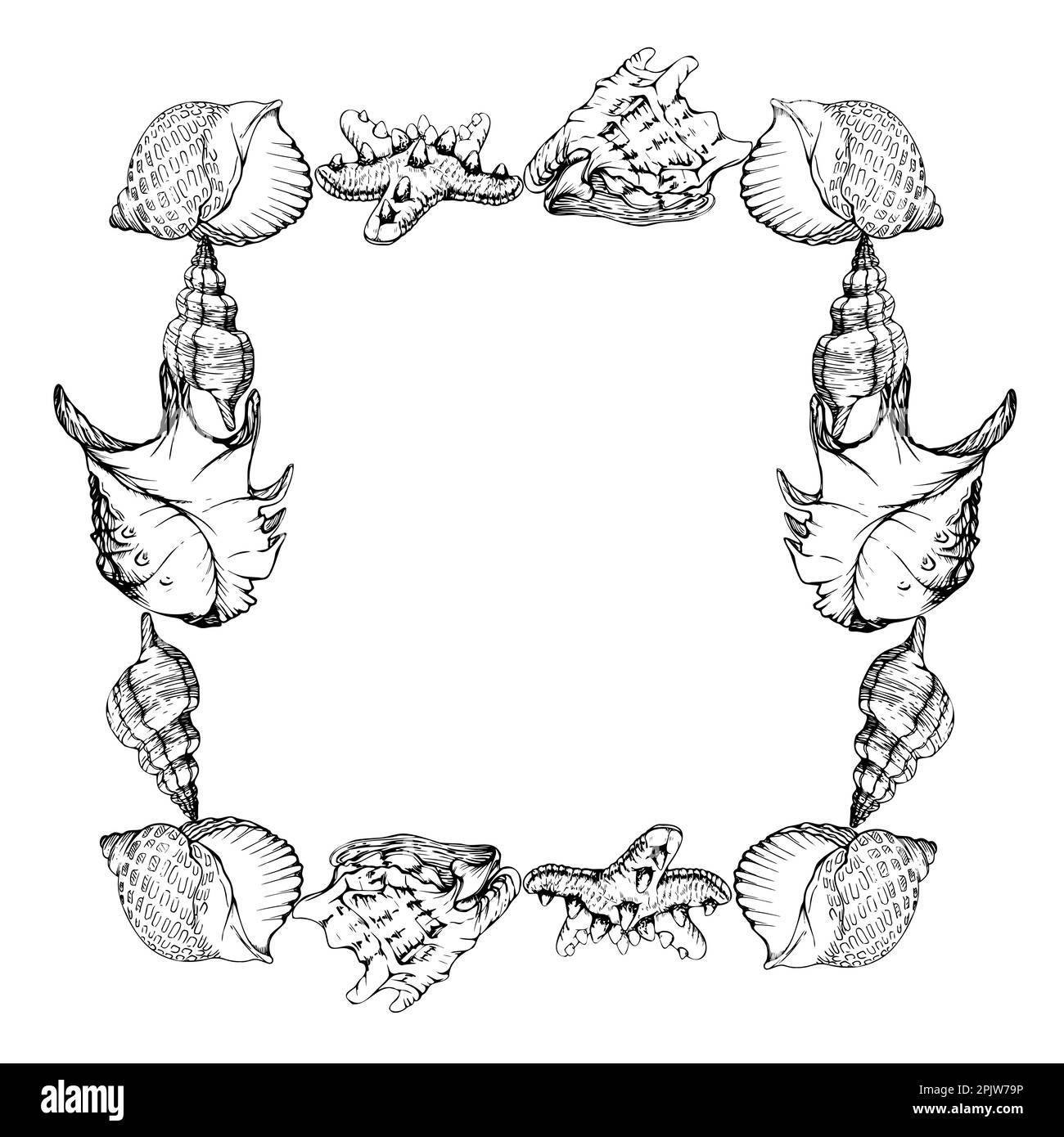 Inchiostro vettoriale a spirale perla, conchiglie marroni e dorate e stelle marine disegnate a mano. Cornice con bordo quadrato. Isolato su sfondo bianco. Arte murale, matrimonio Illustrazione Vettoriale