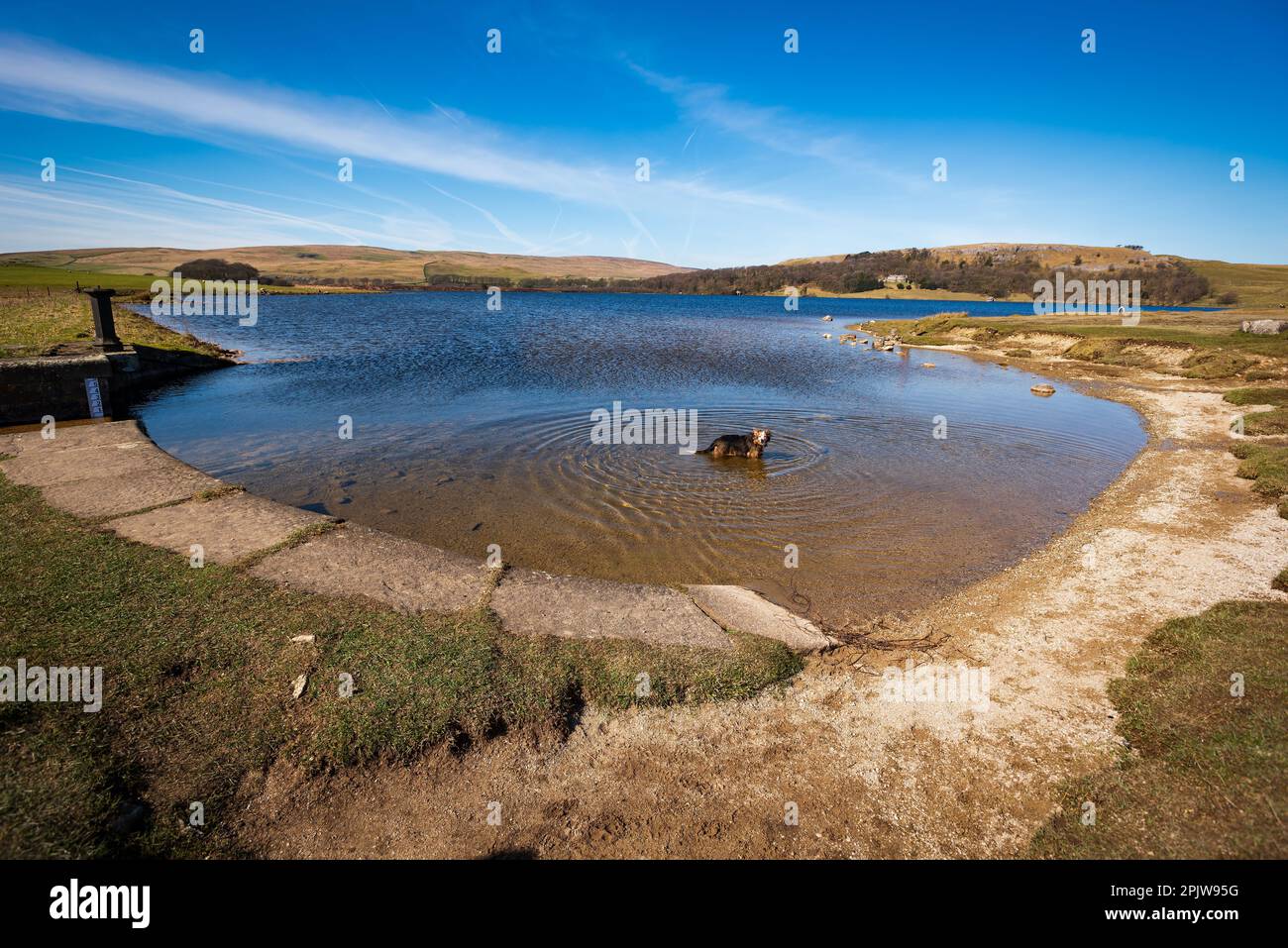 Malham Tarn North Yorkshire parco nazionale. Malham. Foto Stock