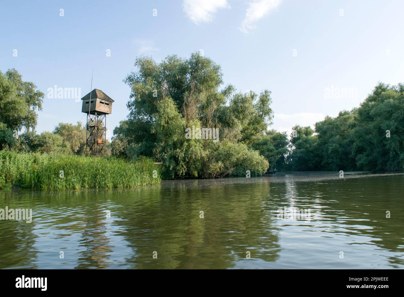 Natura selvaggia e acquatica nell'ecosistema del Delta del Danubio: Una capanna per l'osservazione degli uccelli, un rifugio, utilizzato per osservare la fauna selvatica, in particolare gli uccelli. Foto Stock