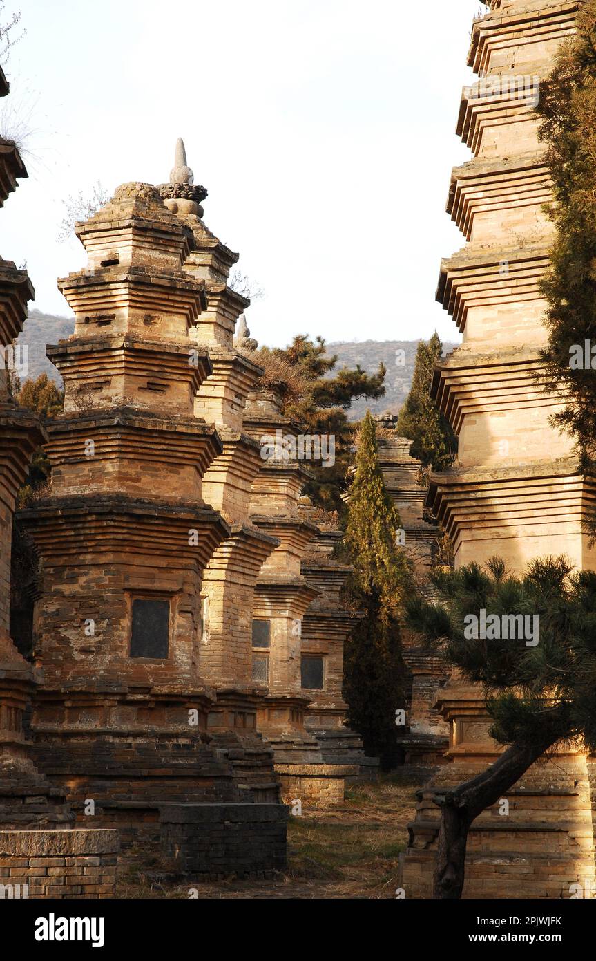 Il Tempio di Shaolin, centro di addestramento delle arti marziali. La Foresta delle Pagodas, cimitero dei monaci illustri. Henan, Song Shan Mountain, Cina Foto Stock