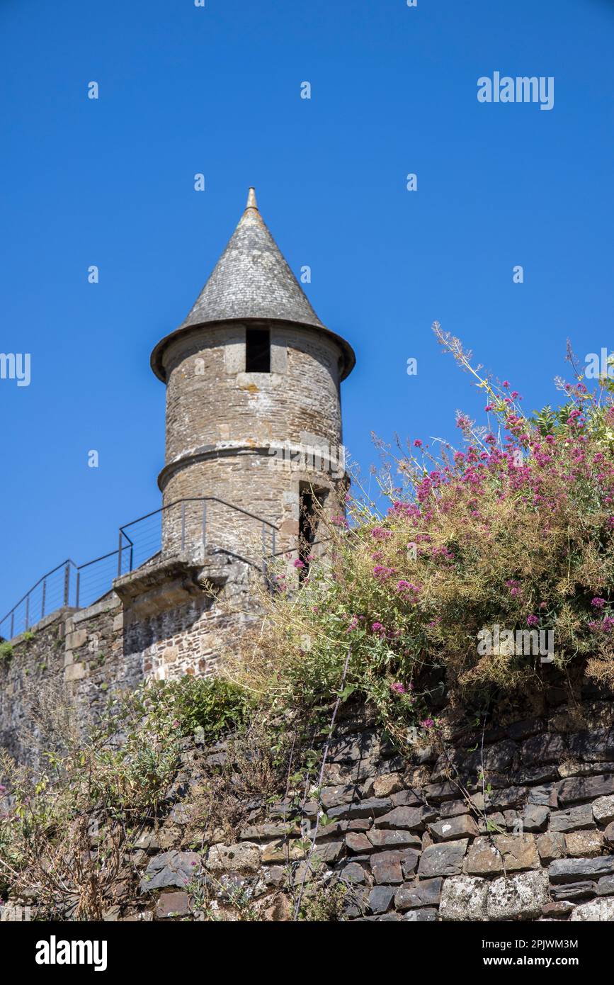 Torre rotonda sul muro difensivo di castello in rovina, Fougeres, Ille-et-Vilaine, Bretagna, Francia Foto Stock