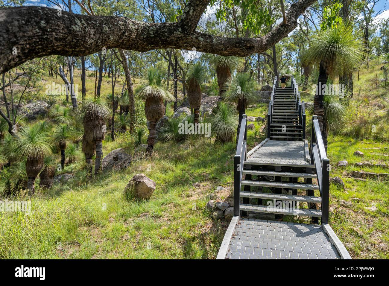 Scale e passerella in materiale riciclato, Coomba Falls, Maidenwell, Queensland Australia Foto Stock