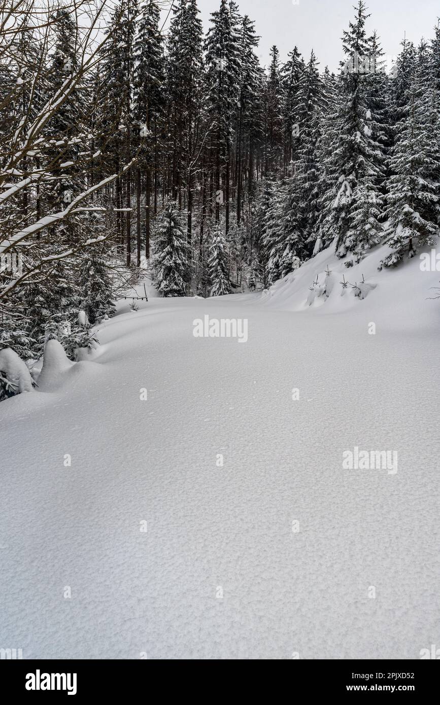 Sentiero innevato dopo lunghe giornate di nevicate sopra il villaggio di Horni Lomna in inverno Moravskoslezske Beskydy montagne nella repubblica Ceca Foto Stock