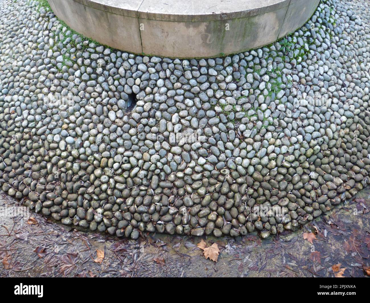 immagine pouvant servir de texture Foto Stock