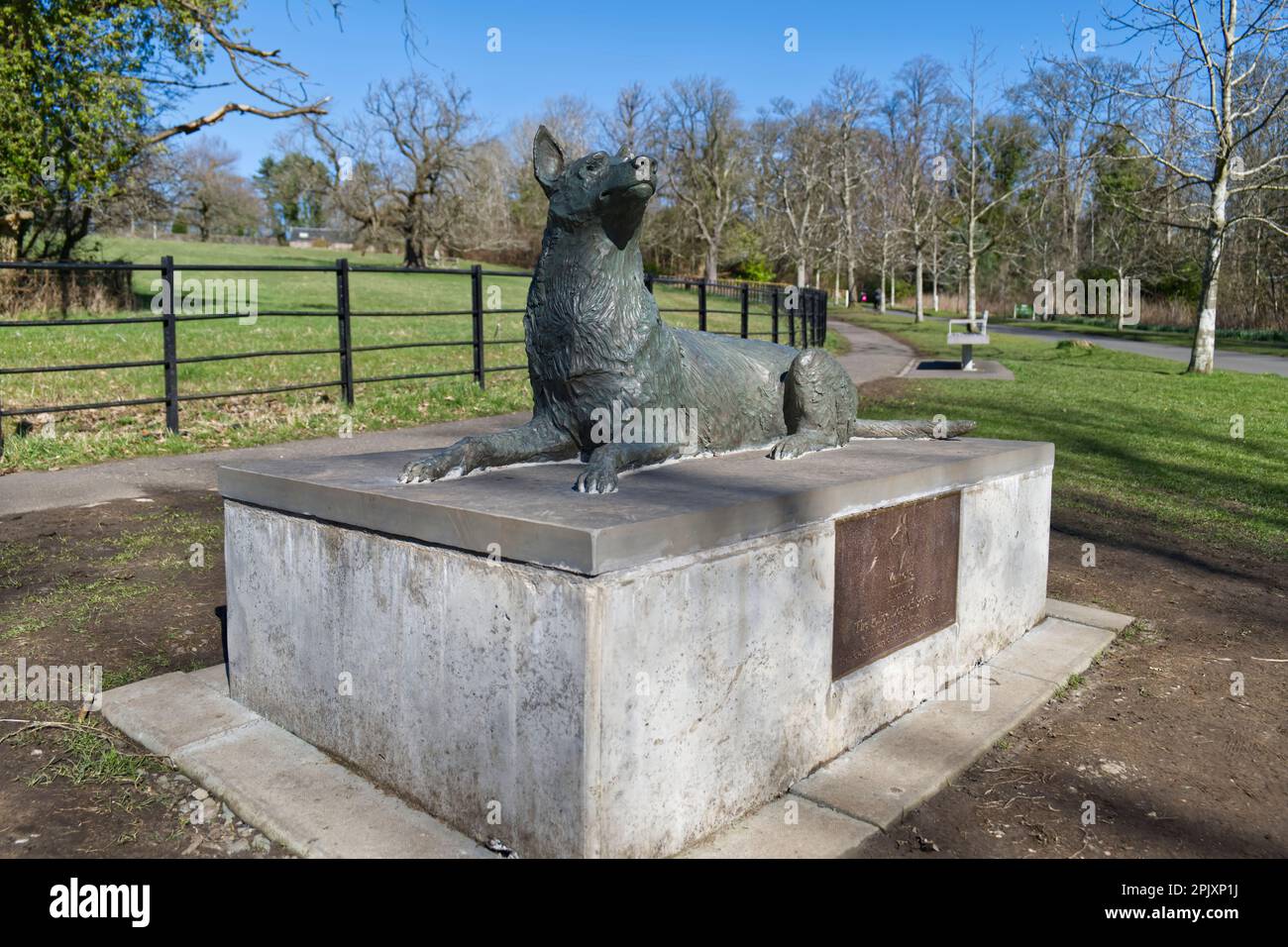 Statua scozzese del monumento commemorativo ai cani di polizia dell'artista John Doubleday, Pollok Country Park, Glasgow, Scozia, Regno Unito, Foto Stock