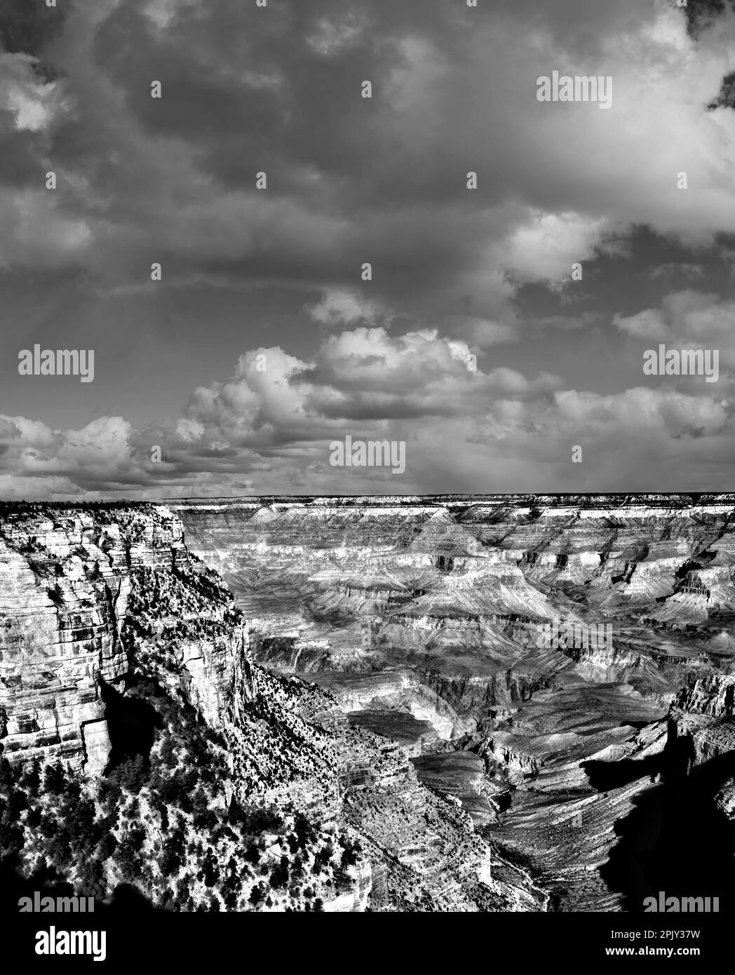 Bianco e nero nel tardo pomeriggio nel Grand Canyon Arizona Foto Stock