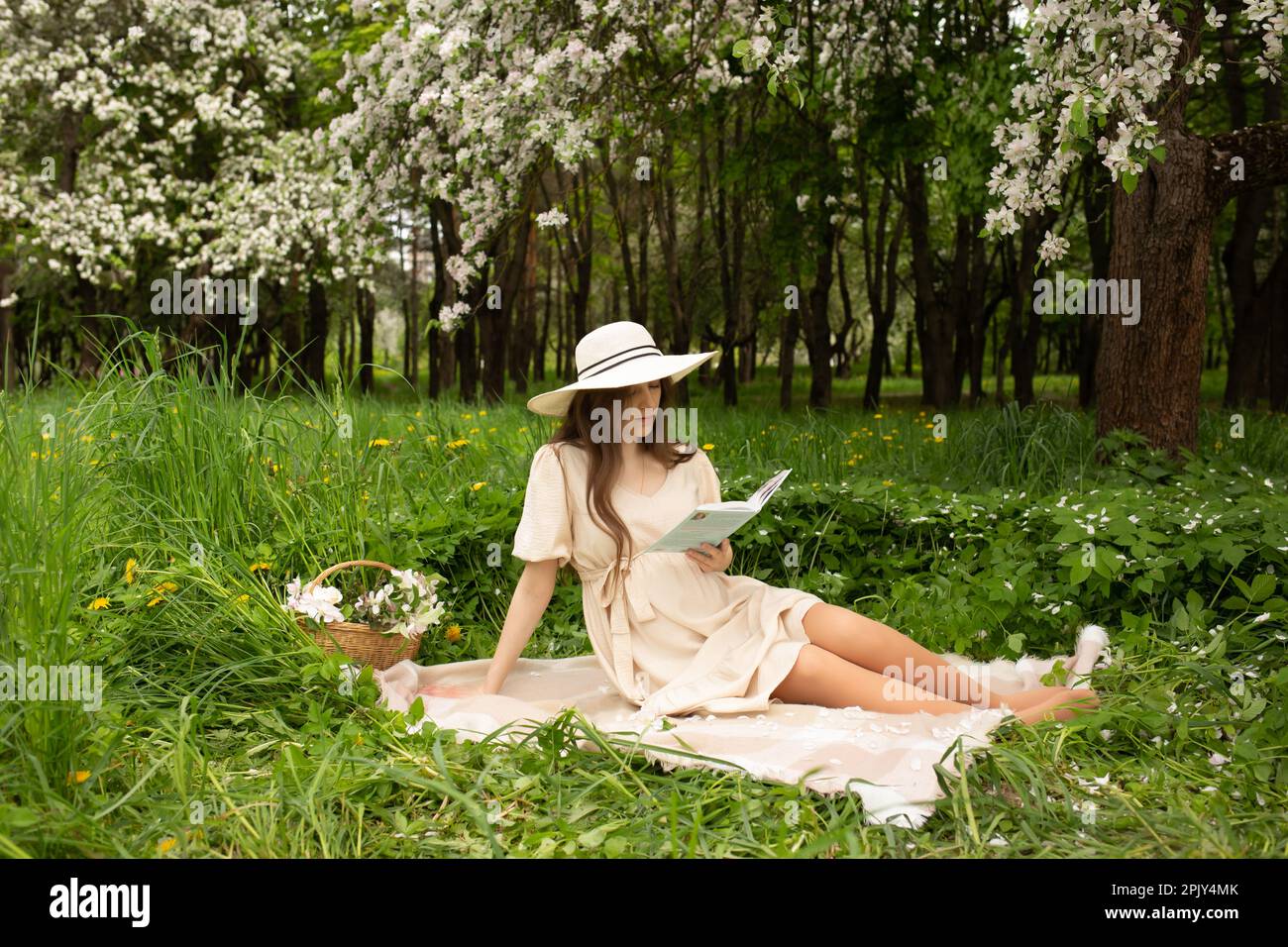 picnic. bella donna incinta cammina in un giardino fiorito. donna incinta che legge un libro ad un picnic Foto Stock