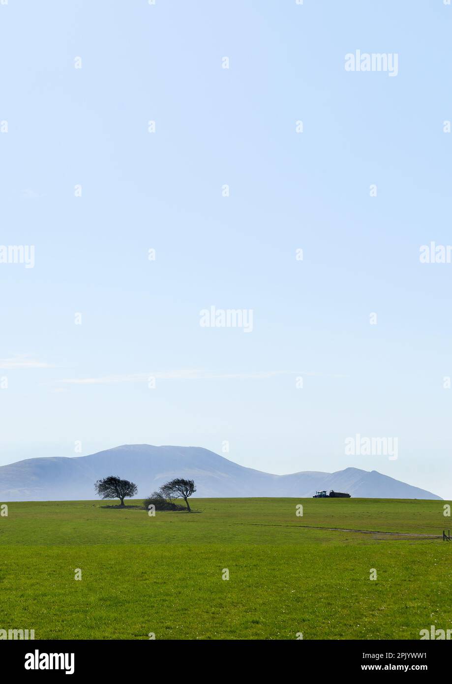 Alberi solitari e un trattore nel distretto del lago settentrionale, Cumbria, vicino Caldbeck Foto Stock