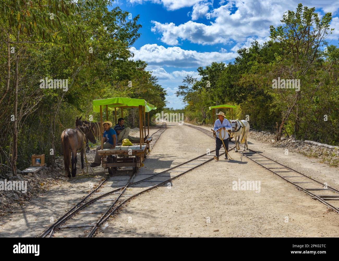 Ferrovia a scartamento ridotto sulla penisola dello Yucatan Foto Stock