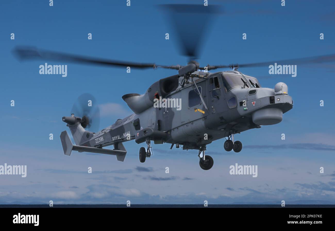 Royal Navy Wildcat HMA2 elicottero di 815 Naval Air Squadron che fornisce gli elicotteri (piccole navi voli) per fregate e cacciatorpediniere Foto Stock