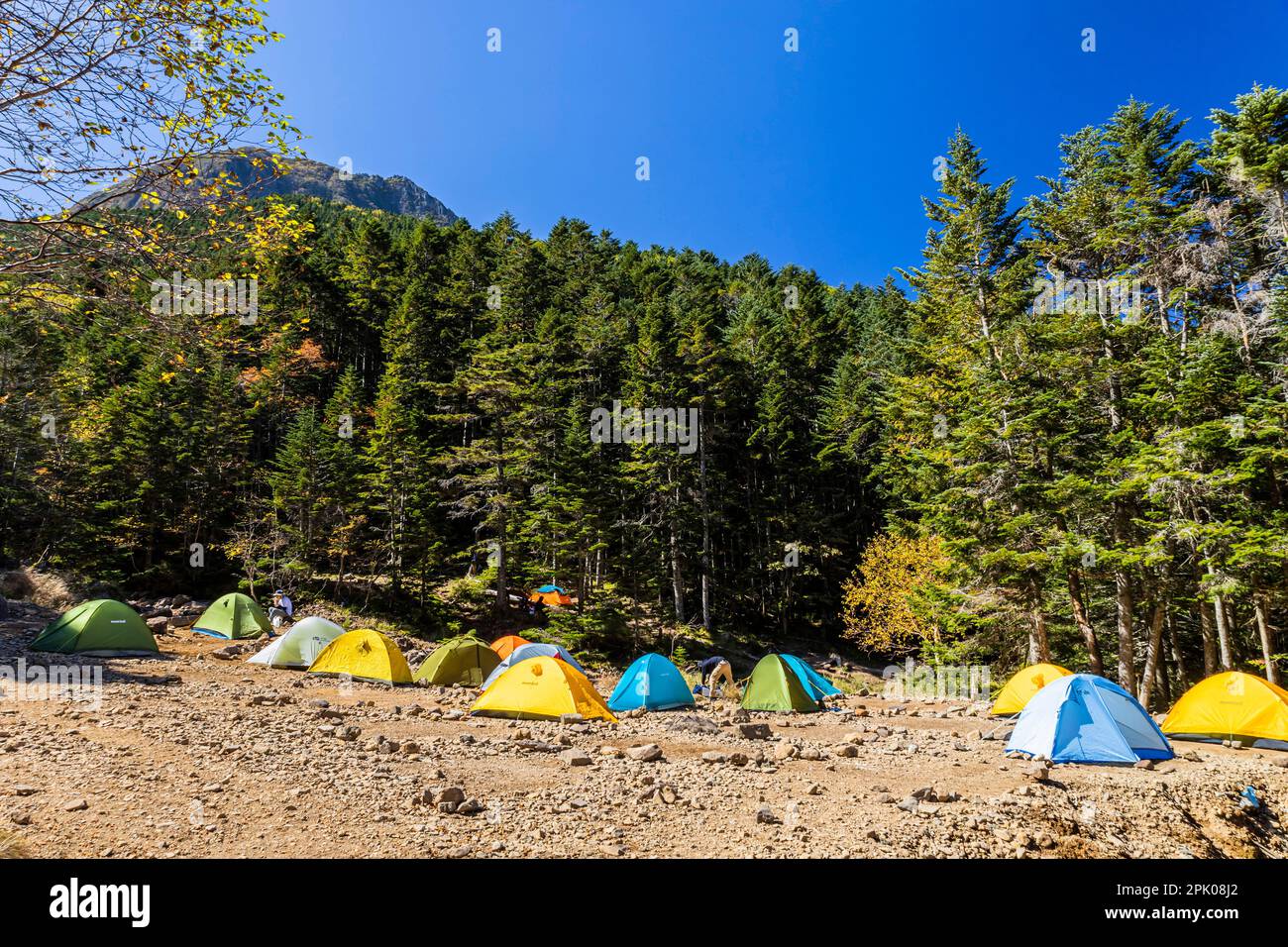 Gyojagoya (cottage Gyoja) campeggio, famosa base di trekking della catena montuosa di Yatsugatake, Nagano, Giappone, Asia orientale, Asia Foto Stock