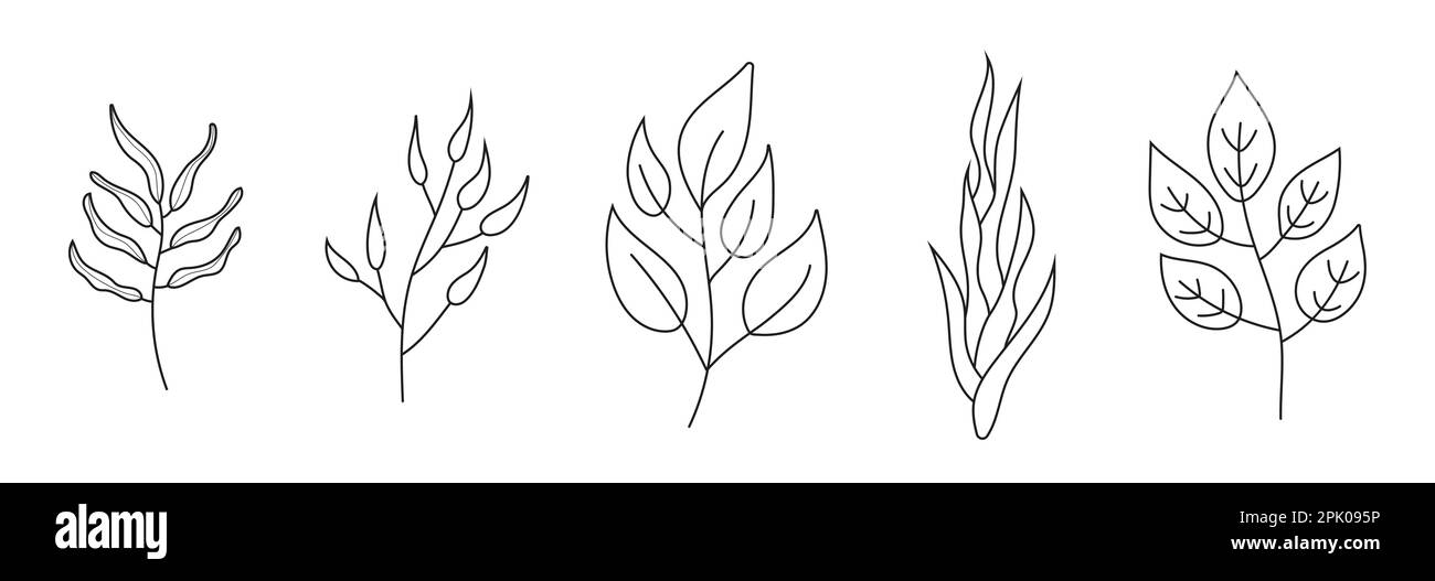 Vettore set scarabocchi rami vegetali. Ramo floreale e foglie minimaliste per tatuaggi o logo. Rami di alberi con foglie e fiori. Illustrazione Vettoriale