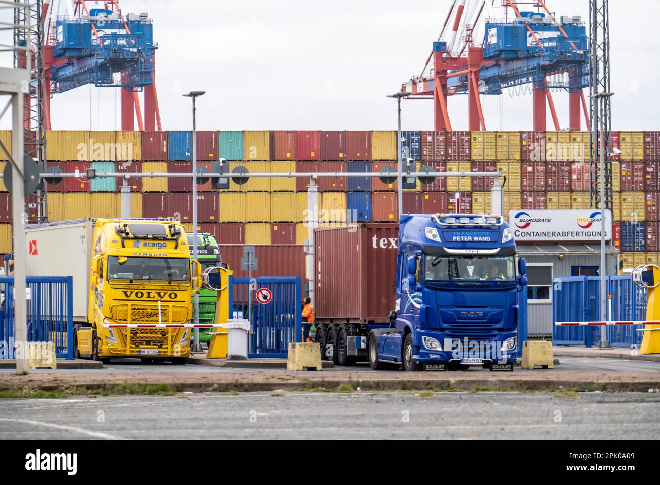 Ingresso ed uscita per container, al terminal container MSC nel porto di Bremerhaven, terminal container Eurogate con quasi 50 contai Foto Stock