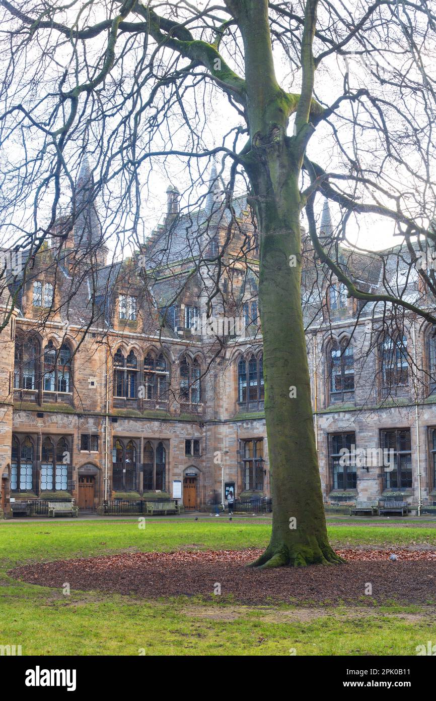 Università storica di Glasgow, Scozia Foto Stock