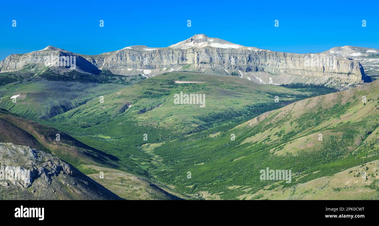 panorama di montagna capro espiatorio nella natura selvaggia capro espiatorio vicino augusta, montana Foto Stock