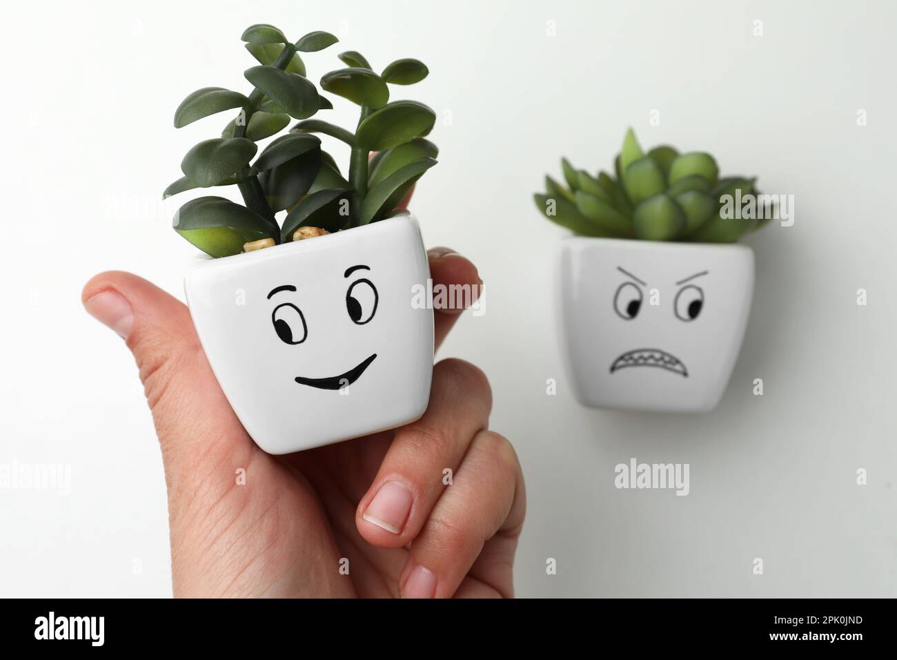 Donna scelta vaso pianta con faccia felice su arrabbiato uno su sfondo bianco, primo piano. Gestione emotiva Foto Stock