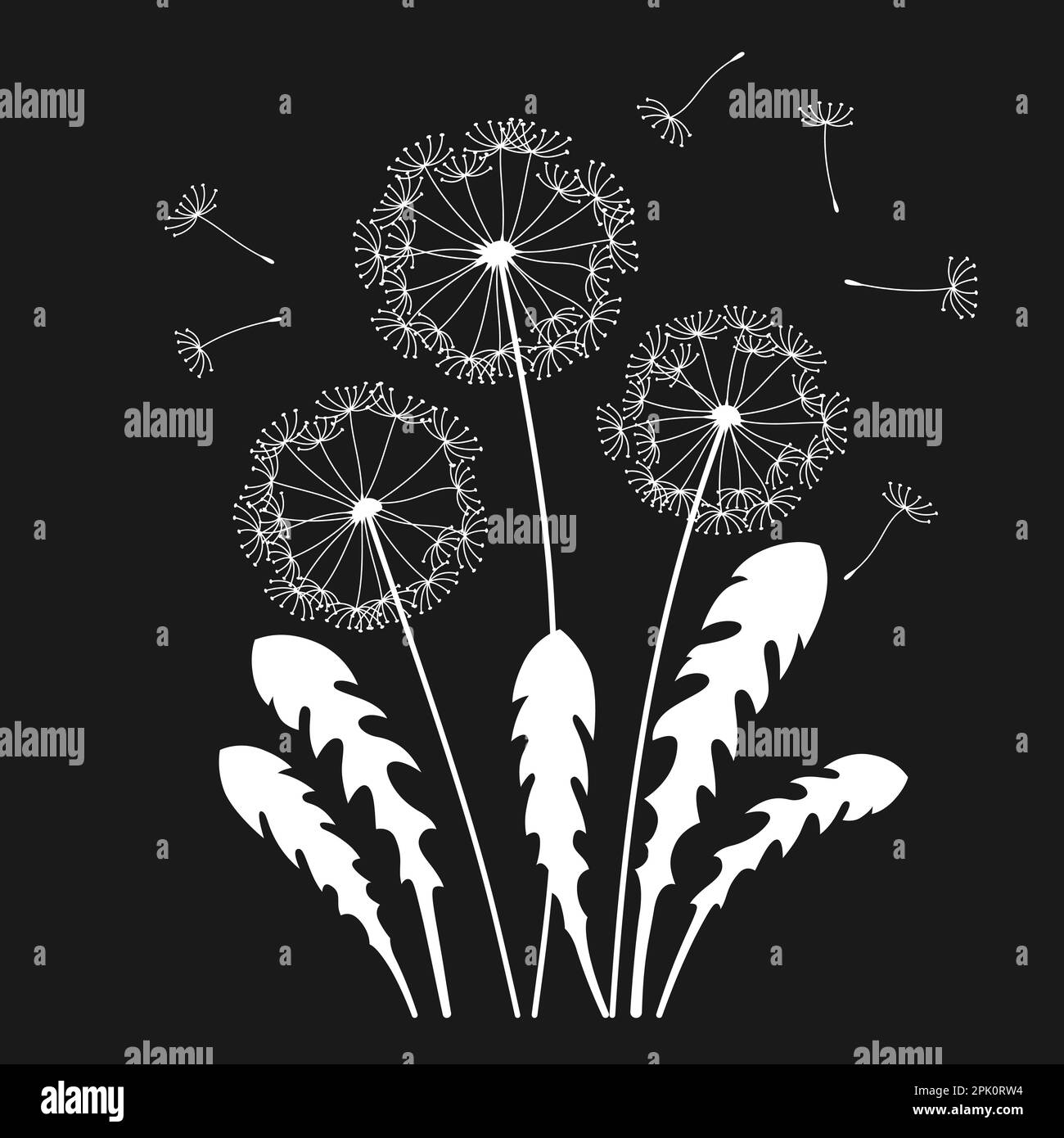 Dente di leone con carta dei semi volanti incisa. Fiori astratti dente di leone piante stilizzate. Botanica disegno modello incisione floreale, poster pubblicitario o sfondo banner, invito copertina, timbro o stampa Illustrazione Vettoriale