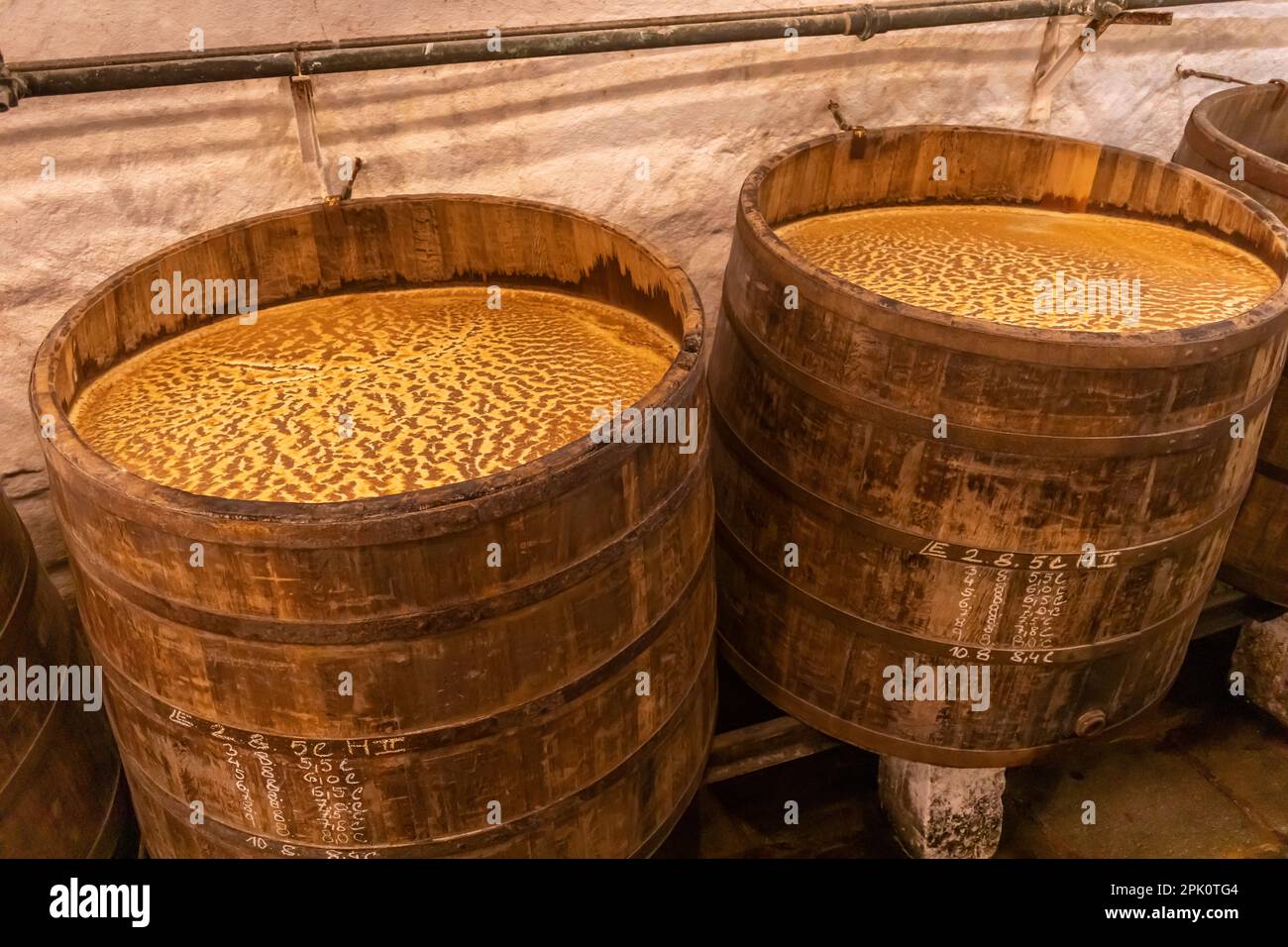 PILSEN, REPUBBLICA CECA, EUROPA - Birreria Pilsner Urquell. Tini storici, vecchie botti. Birra, fermentazione aperta in botti di legno. Foto Stock