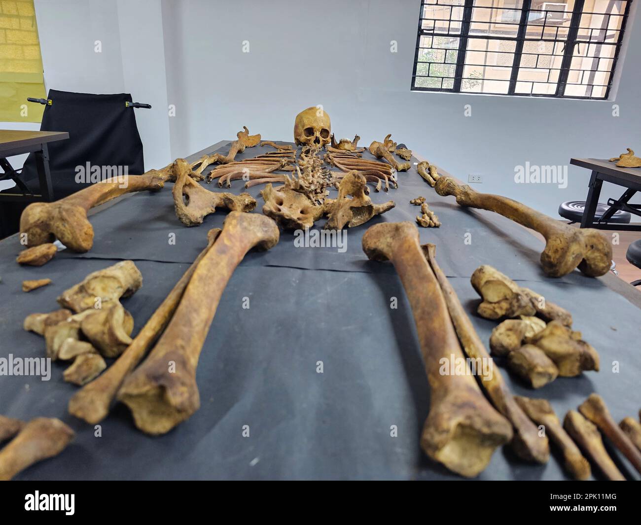 Manila, Filippine. 04th Apr, 2023. Il patologo forense Dr. Raquel Fortun esamina gli scheletri esumati delle vittime della guerra di droga a Caloocan City. (Foto di Sherbien Dacalanio/Pacific Press) Credit: Pacific Press Media Production Corp./Alamy Live News Foto Stock
