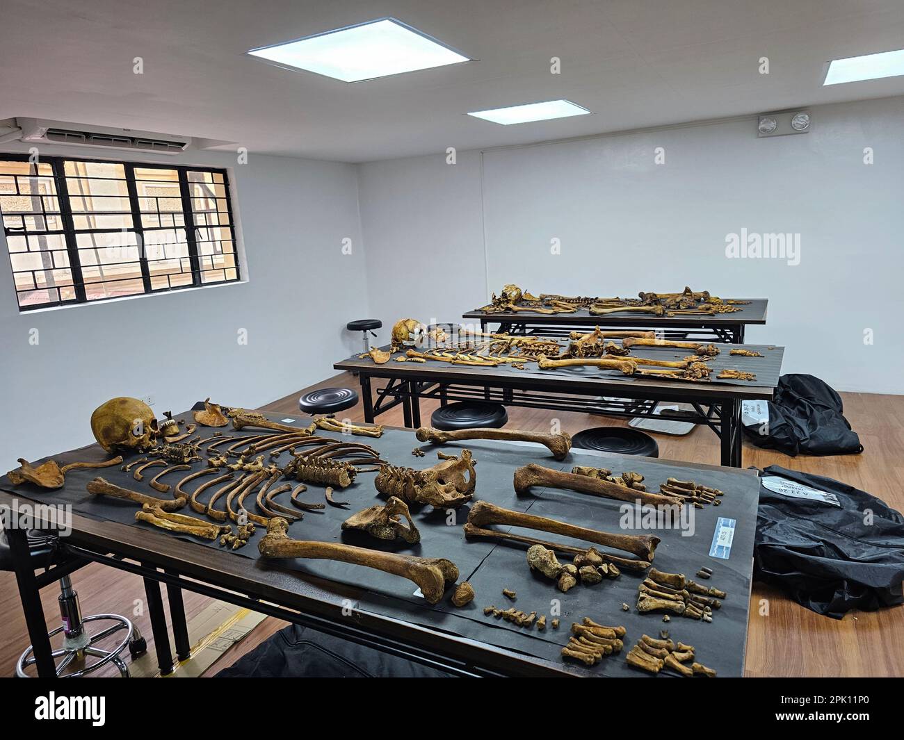 Manila, Filippine. 04th Apr, 2023. Il patologo forense Dr. Raquel Fortun esamina gli scheletri esumati delle vittime della guerra di droga a Caloocan City. (Foto di Sherbien Dacalanio/Pacific Press) Credit: Pacific Press Media Production Corp./Alamy Live News Foto Stock