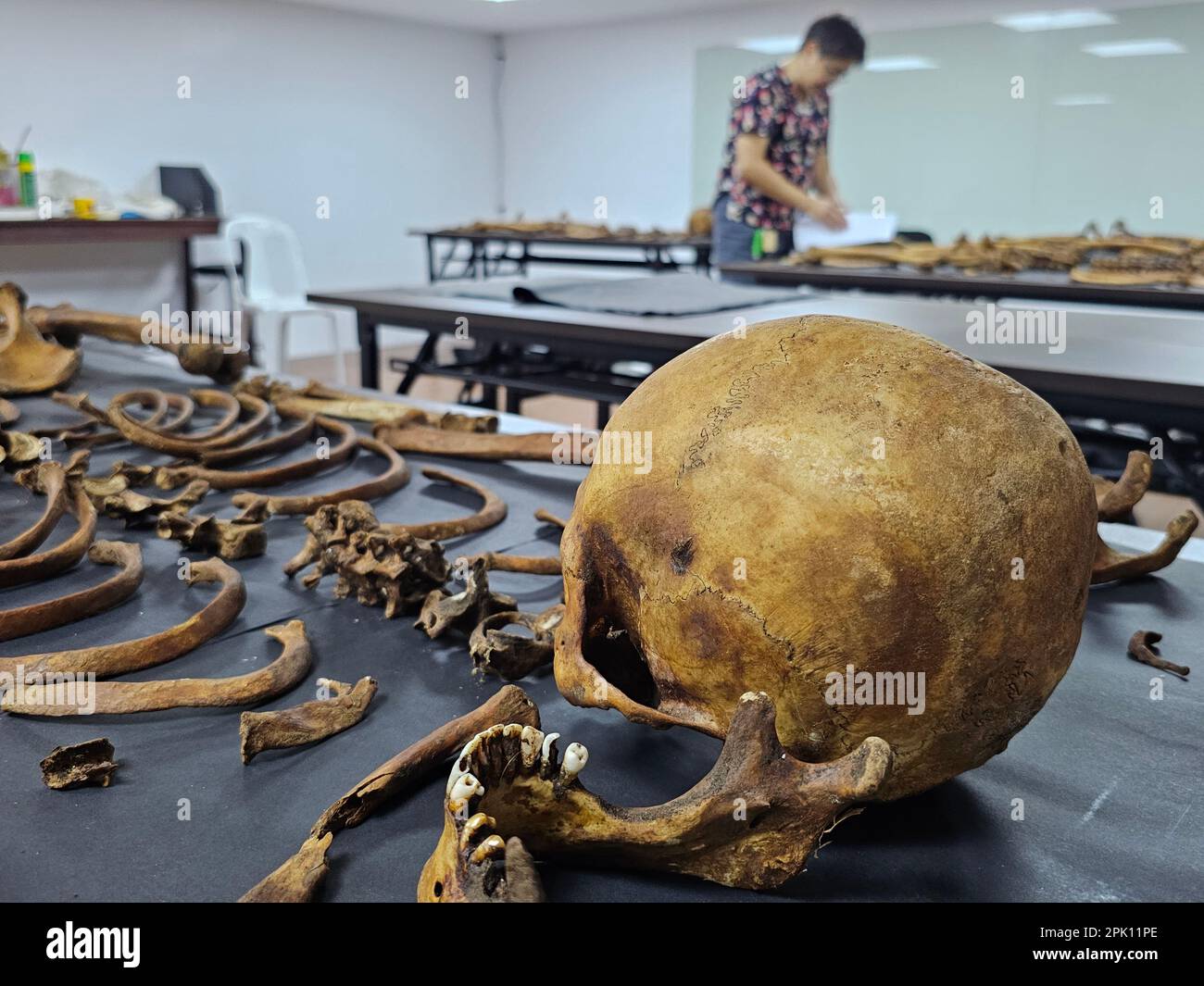 Manila, Filippine. 04th Apr, 2023. Il patologo forense Dr. Raquel Fortun esamina gli scheletri esumati delle vittime della guerra di droga a Caloocan City. (Foto di Sherbien Dacalanio/Pacific Press) Credit: Pacific Press Media Production Corp./Alamy Live News Foto Stock