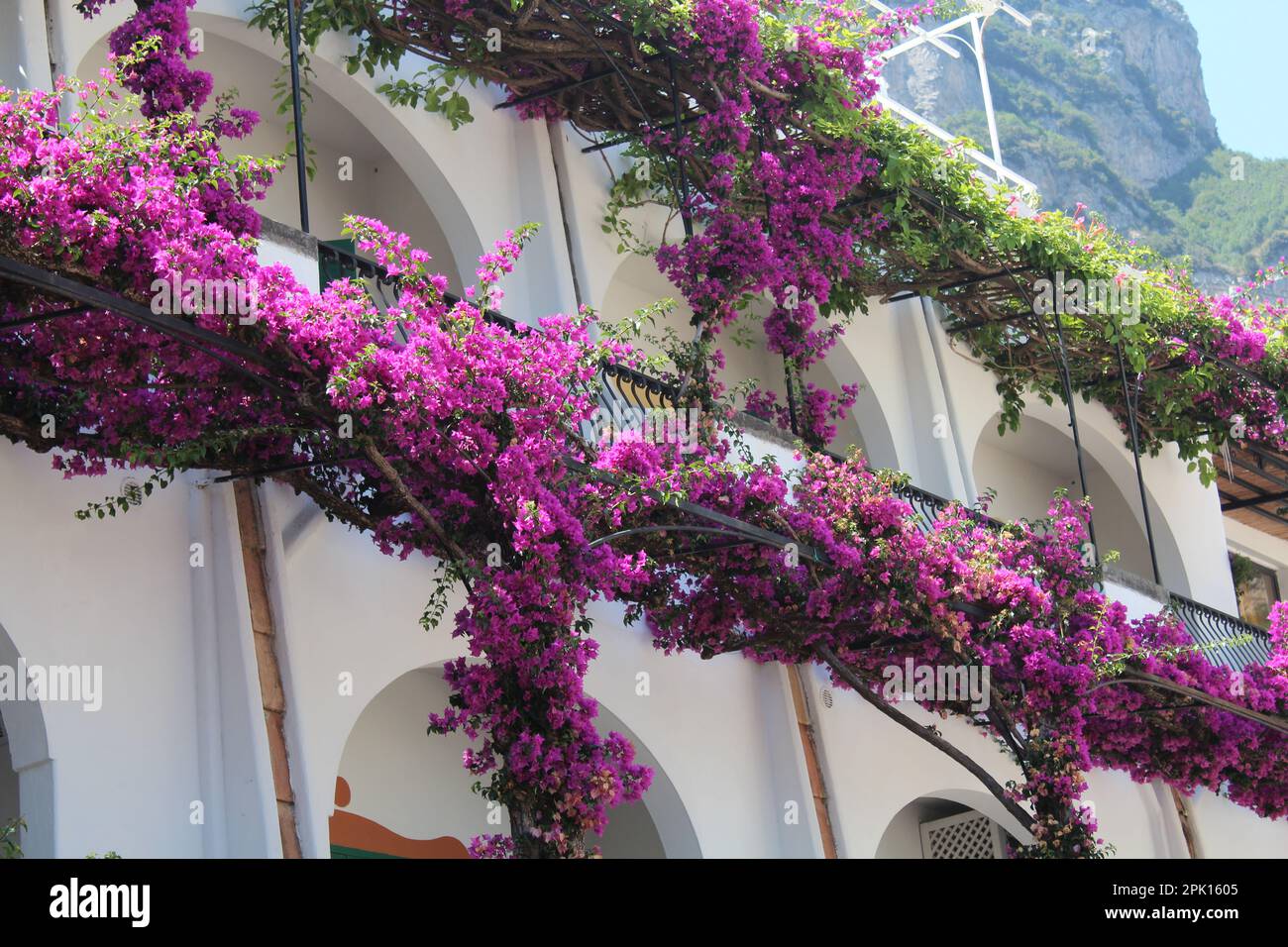 Costiera Amalfitana paesaggio fiorito Foto Stock