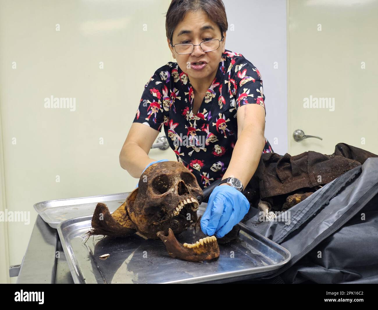 Manila, Regione della capitale nazionale, Filippine. 4th Apr, 2023. Il patologo forense Dr. Raquel Fortun esamina gli scheletri esumati delle vittime della guerra di droga a Caloocan City. (Credit Image: © Sherbien Dacalanio/Pacific Press via ZUMA Press Wire) SOLO PER USO EDITORIALE! Non per USO commerciale! Foto Stock