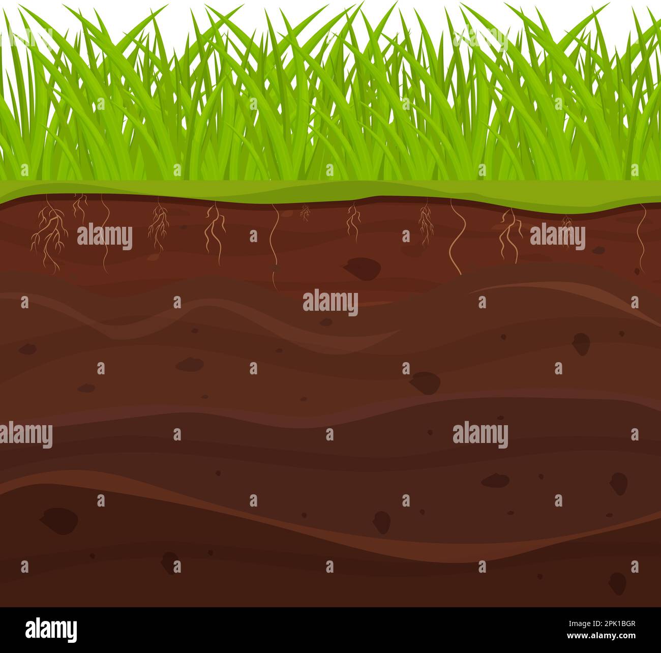 Terreno, terreno con strati, radici di erba e pietre, sezioni di terra in stile cartoon isolato su sfondo bianco. Illustrazione vettoriale Illustrazione Vettoriale