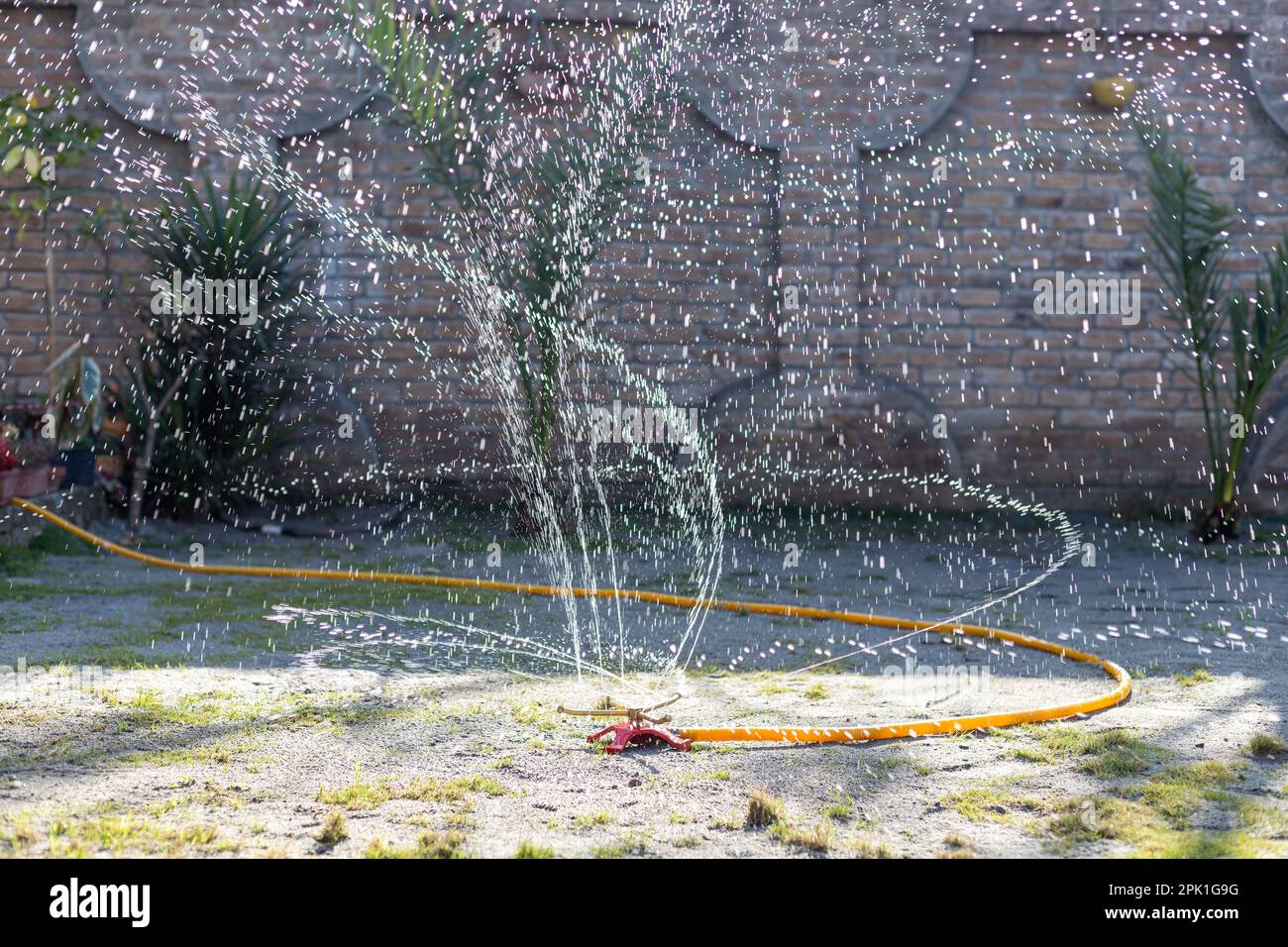 Impianto sprinkler ad acqua per prato che innaffia il prato al mattino. Messa a fuoco selettiva. Foto Stock