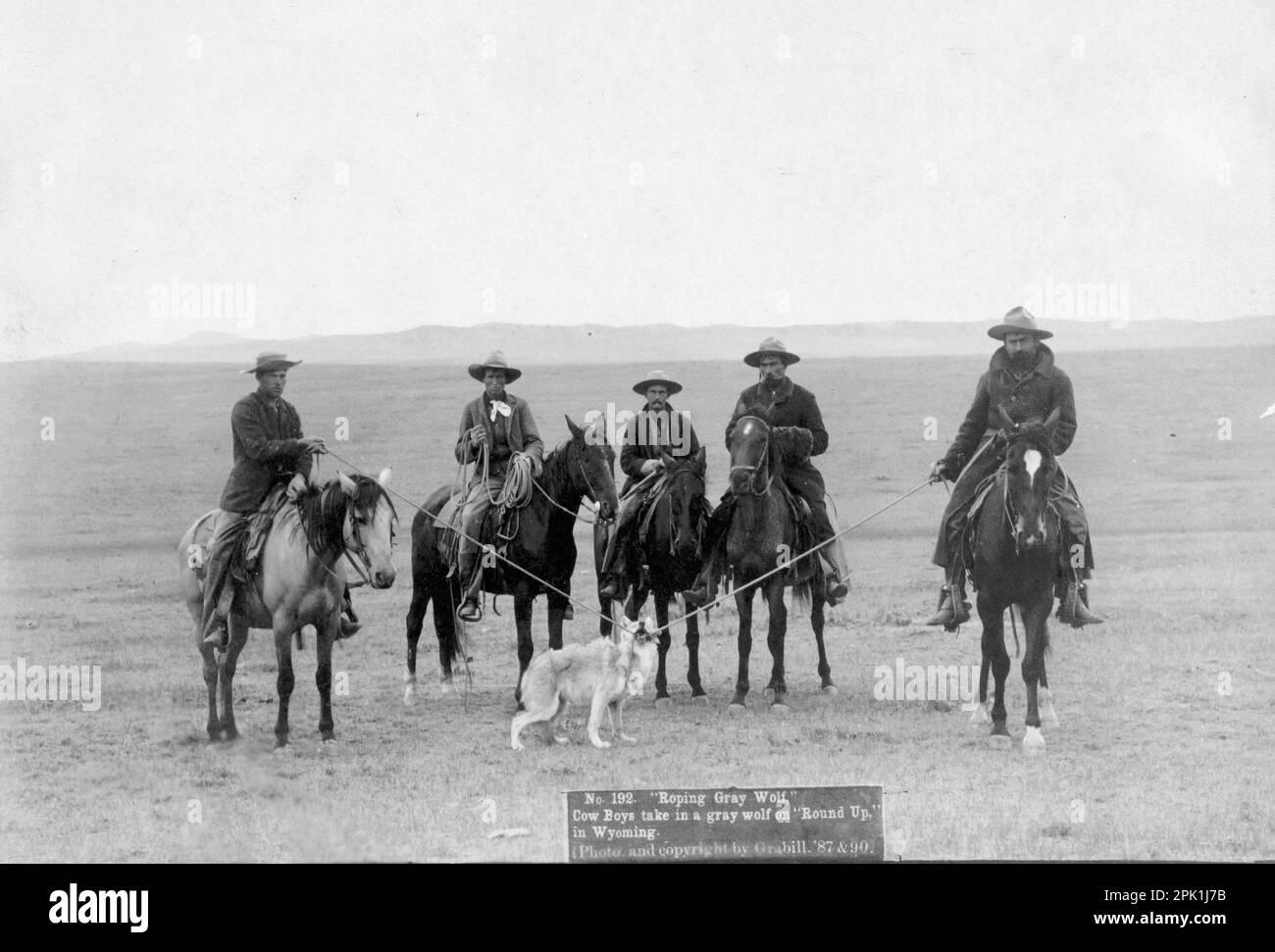 Roping a Gray Wolf - American West - Fotografia Vintage Foto Stock