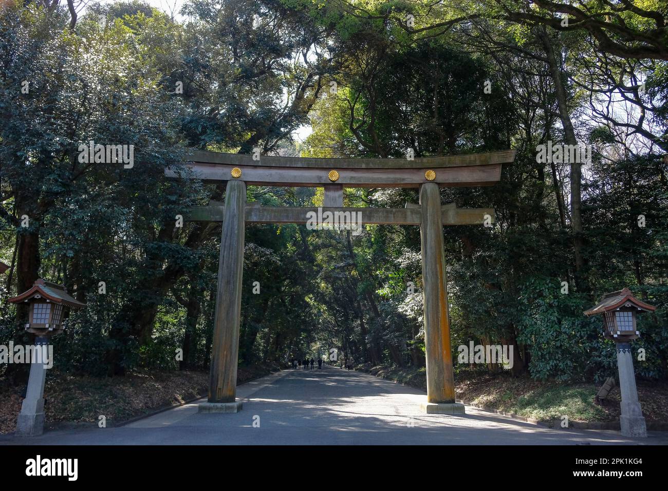 Tokyo, Giappone - 4 marzo 2023: Torii indica la strada per il Santuario Meiji nel Parco di Yoyogi a Shibuya, Tokyo, Giappone. Foto Stock