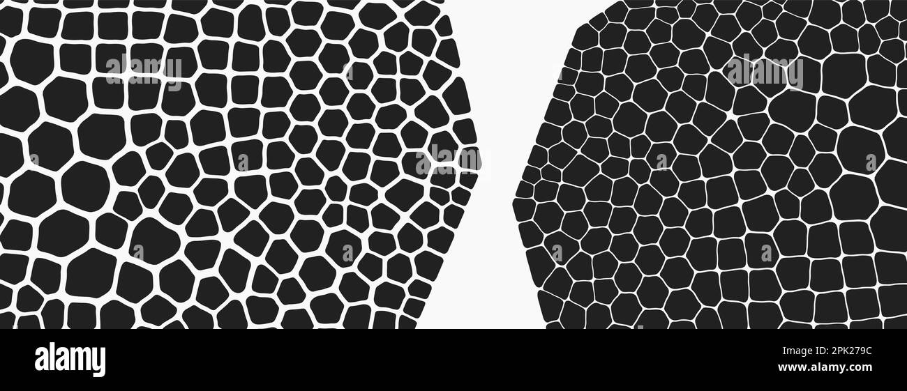 Sfondo astratto della scienza con celle fantasy. Vista in sezione trasversale o microscopica. Biologia. Struttura organica. stile tecnologico 3d con particelle. Vettore Illustrazione Vettoriale