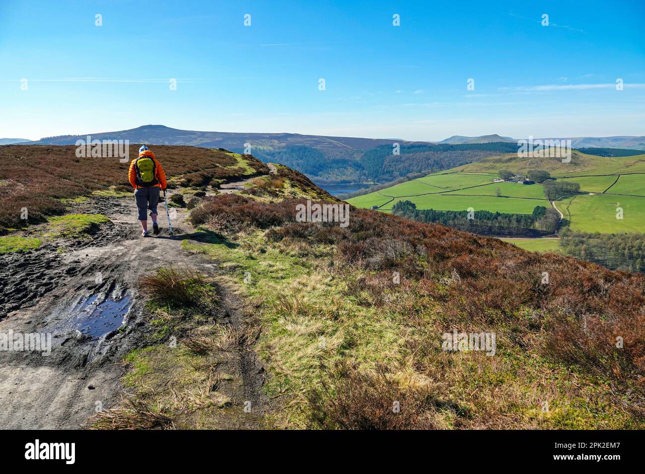 Escursionista femminile camminando lungo Dovestones Edge, sopra il lago artificiale di Ladybower e le dighe di Derwent, Peak District, Derbyshire, Regno Unito Foto Stock